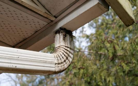 How much should I pay to have my gutters cleaned?
